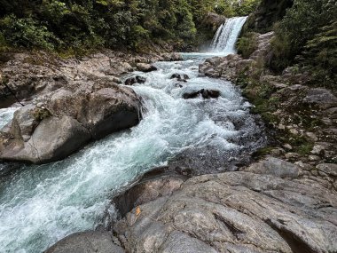 Ormandaki nehrin şelalesi, Tongariro Ulusal Parkı, Orta Kuzey Adası, Yeni Zelanda