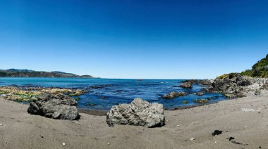 Plaj manzaralı, Breaker Körfezi, Wellington, Yeni Zelanda