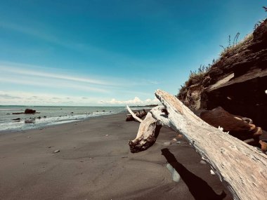 güzel deniz manzarası, siyah volkanik kumlar, Waitara Sahili, Taranaki, Yeni Zelanda