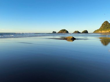 Arkaplanda siyah volkanik kumlar, Back Beach, New Plymouth, Taranaki, Yeni Zelanda