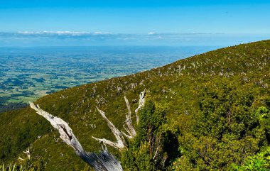 Taranaki Dağı, Egmont Ulusal Parkı, Taranaki, Yeni Zelanda manzarası