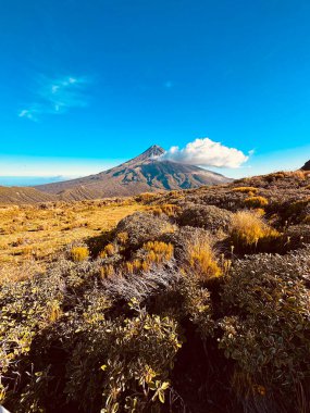 Taranaki Dağı, Egmont Ulusal Parkı, Taranaki, Yeni Zelanda 'da güzel bir manzara.