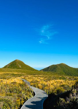 Taranaki Dağı, Egmont Ulusal Parkı, Taranaki, Yeni Zelanda 'da güzel bir manzara.