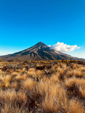 Taranaki Dağı, Egmont Ulusal Parkı, Taranaki, Yeni Zelanda