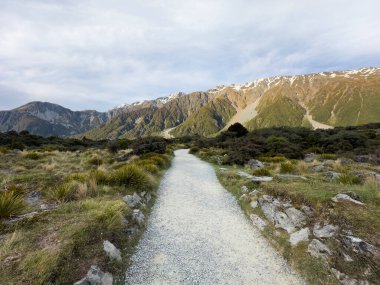 Pathway, Cook Dağı Ulusal Parkı, Güney Adası, Yeni Zelanda
