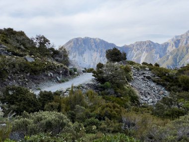 Pathway, Cook Dağı Ulusal Parkı, Güney Adası, Yeni Zelanda