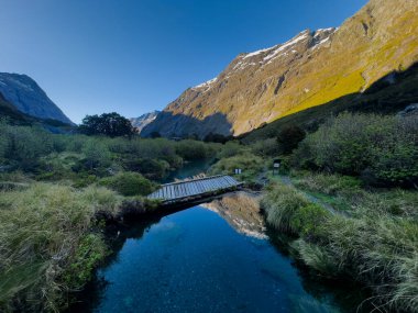 mountain stream in the alps, Gertrude Saddle walk, Fiordland National Park, South Island, New Zealand clipart