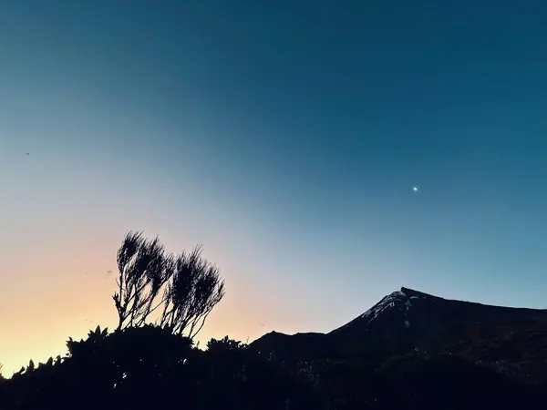 Taranaki Dağı 'nda güzel bir gün batımı Egmont Ulusal Parkı, Taranaki, Yeni Zelanda