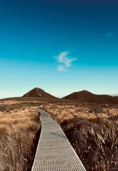 Taranaki Dağı 'nda güzel bir yürüyüş manzarası Egmont Ulusal Parkı, Taranaki, Yeni Zelanda