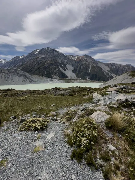 Yeni Zelanda 'nın güzel manzarası, Cook Ulusal Parkı, Güney Adası, Yeni Zelanda