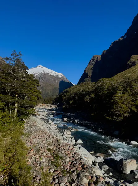 River, Fiordland Ulusal Parkı, Güney Adası, Yeni Zelanda 