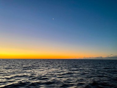 Büyük Set Resifi, Queensland, Avustralya