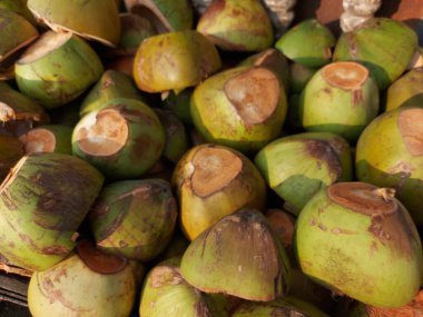 Kelapa dikenal karena kegunaanya yang sangat beragam, mulai dari makanan meningga kosmetik.