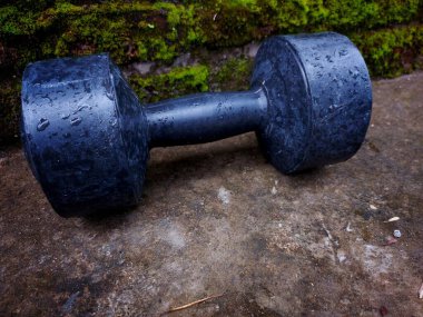 Dambıllar (izole). Dambıllar doğal arkaplanda izole.