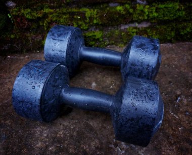 Dambıllar (izole). Dambıllar doğal arkaplanda izole.