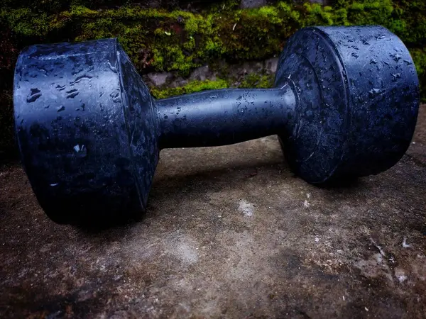 Dambıllar (izole). Dambıllar doğal arkaplanda izole.