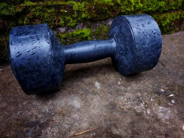 Dambıllar (izole). Dambıllar doğal arkaplanda izole.