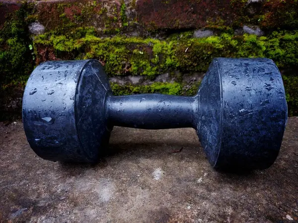 Dambıllar (izole). Dambıllar doğal arkaplanda izole.