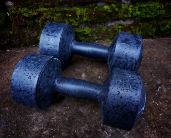 Dambıllar (izole). Dambıllar doğal arkaplanda izole.