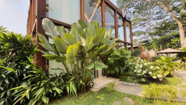 Tangerang, Endonezya - 31 Mayıs 2023: Büyüleyici yeşil tropikal bitkileri olan yemyeşil bir bahçenin arkasında kereste ahşap yapımı cam dondurmacı binası