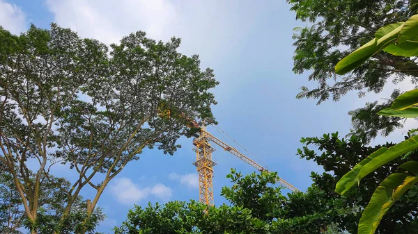 Sarı bir vinç, parlak mavi bir gökyüzüne, yemyeşil ağaçlara ve ön plandaki bitkilere karşı inşaat yapıyor.