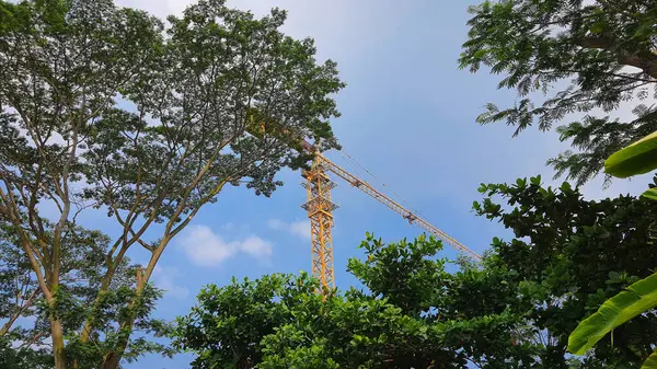 Sarı bir vinç, parlak mavi bir gökyüzüne, yemyeşil ağaçlara ve ön plandaki bitkilere karşı inşaat yapıyor.