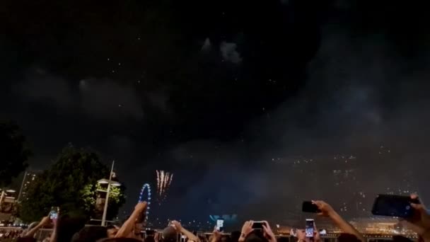 Σιγκαπούρη Ιανουάριος 2023 Πυροτεχνήματα Οθόνη Στο Marina Bay Sands Την — Αρχείο Βίντεο