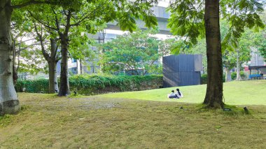 Jakarta 22 Ağustos 2023: Çimlerin üzerinde oturan iki kız şehir parkında geniş bir çimenlikte piknik yapıyorlar. Şehir Ormanı Cipete. Arka planda LRT Yapısı. Birçok büyük ağaç gölgeleme sağlar