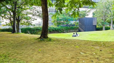 Jakarta 22 Ağustos 2023: Çimlerin üzerinde oturan iki kız şehir parkında geniş bir çimenlikte piknik yapıyorlar. Şehir Ormanı Cipete. Arka planda LRT Yapısı. Birçok büyük ağaç gölgeleme sağlar