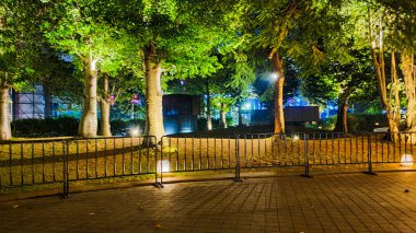 Jakarta 22 Ağustos 2023: Geceleri Şehir Ormanı Cipete 'deki restoranlar, güzel ışıklandırma, perili ışıklar, kaldırım taşı patikası, verimli peyzaj, açık hava piknik masaları. Parkta yemek yemek.