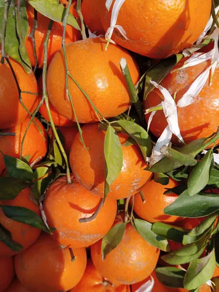 Bu C vitamini dolu portakal manzarası çok güzel..