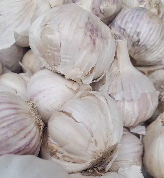 Bu, insan sağlığı için çok önemli olan sarımsak resmi..