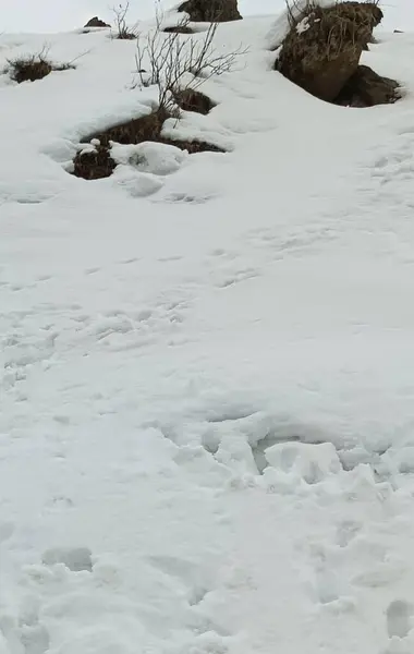 Dağlardaki güzel kar manzarası.