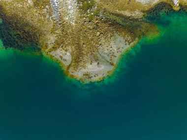 Bir sürü yosunlu yeşil göl