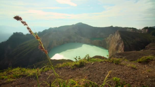 Manhã Vista Ervas Daninhas Sopradas Pelo Vento Lago Vulcão Kelimutu — Vídeo de Stock