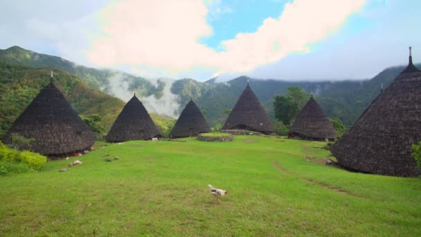 Landschaft Eines Traditionellen Dorfes Waerebo Indonesien — Stockvideo