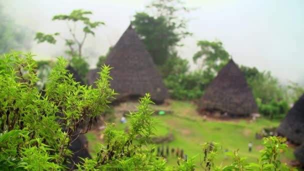 Selektywne Skupienie Się Liści Domu Odległym Lesie Waerebo Indonezja — Wideo stockowe