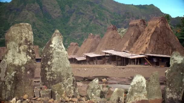 Kaunis Perinteiset Talot Vuorattu Näkökulma Bena Bajawa Indonesia — kuvapankkivideo