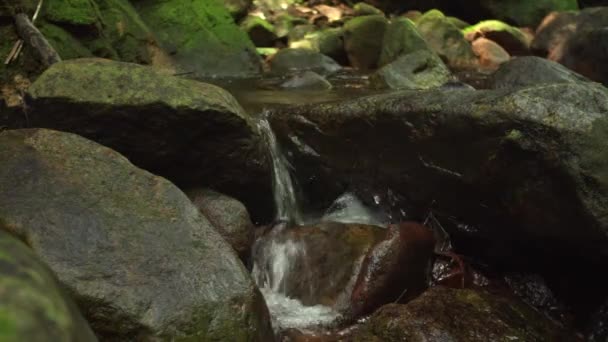 Strumień Wody Płynie Małej Rzece Przez Kamienie Porośnięte Zielonym Mchem — Wideo stockowe