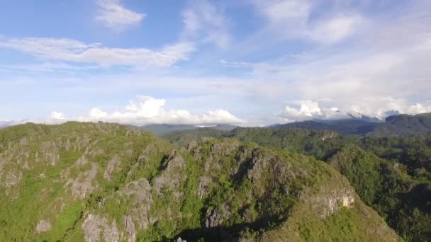 Dron Vystřelil Hřebeny Hory Dramatickou Horu Tenkým Lesem — Stock video