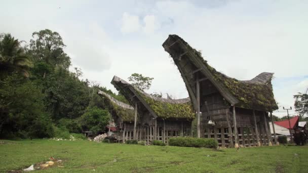 Toraja Indonesien Oktober 2019 Vackert Traditionellt Hus Den Fridfulla Byn — Stockvideo