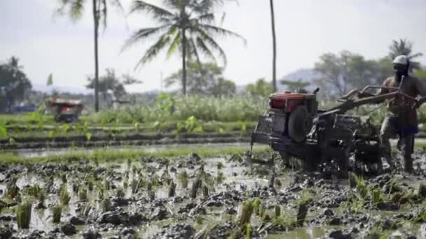 Agricultores Sudeste Asiático Arar Campo Arroz Usando Trator Mão Trabalhando — Vídeo de Stock
