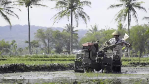东南亚农民用牵引机耕作稻田 在潮湿的稻田里用马达犁地干活 — 图库视频影像