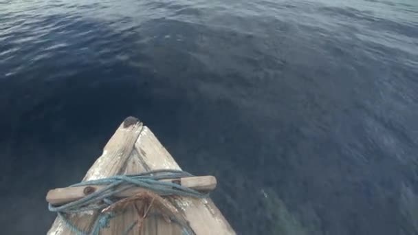 Delfinek Úszni Következő Halászhajók — Stock videók