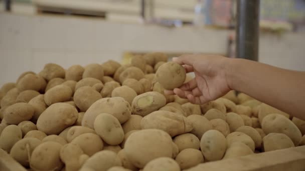 Een Traditionele Markt Selecteert Hand Van Een Koper Zorgvuldig Aardappelen — Stockvideo