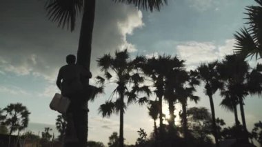 Siluet bir adam palmiye ağacına tırmanır. Asyalı çiftçi, yerel sanayi için özsuyu toplamak için palmiye ağacını tıklatıyor