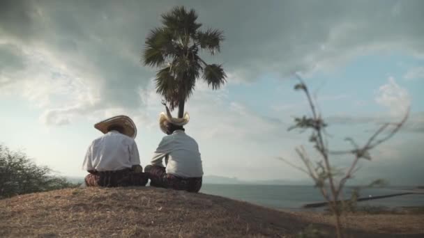 Long Shoot Dwie Osoby Siedzące Pod Palmą Grające Instrumencie Smyczkowym — Wideo stockowe