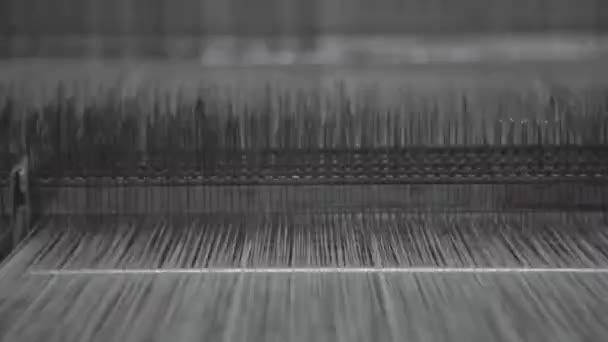 自动织机有大量白线线穿过的织机 — 图库视频影像