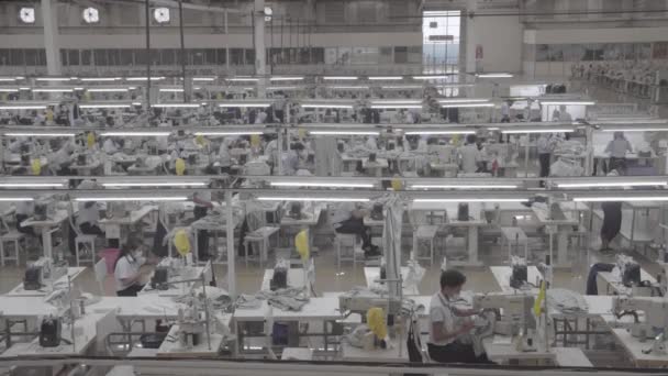 Klaten Indonesien Februar 2022 Bekleidungsproduktion Der Großen Fabrik Fabrikmitarbeiter Nähen — Stockvideo