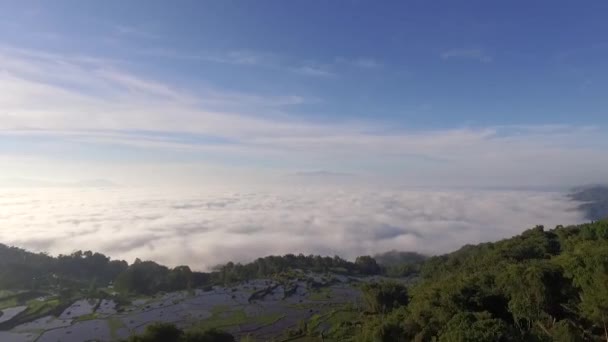 Widok Powietrza Wzgórz Nad Chmurami Rano Drzewa Misty Krajobraz Górami — Wideo stockowe